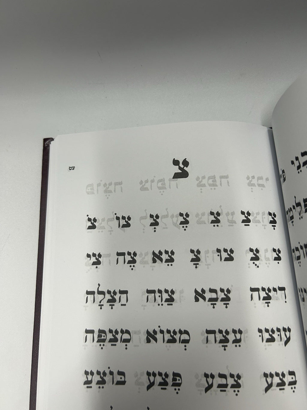 Sefer Alef Binah Mini, Hebrew Alef Bais Kriah Primer for Children , NEW2