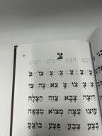 Sefer Alef Binah Mini, Hebrew Alef Bais Kriah Primer for Children , NEW2