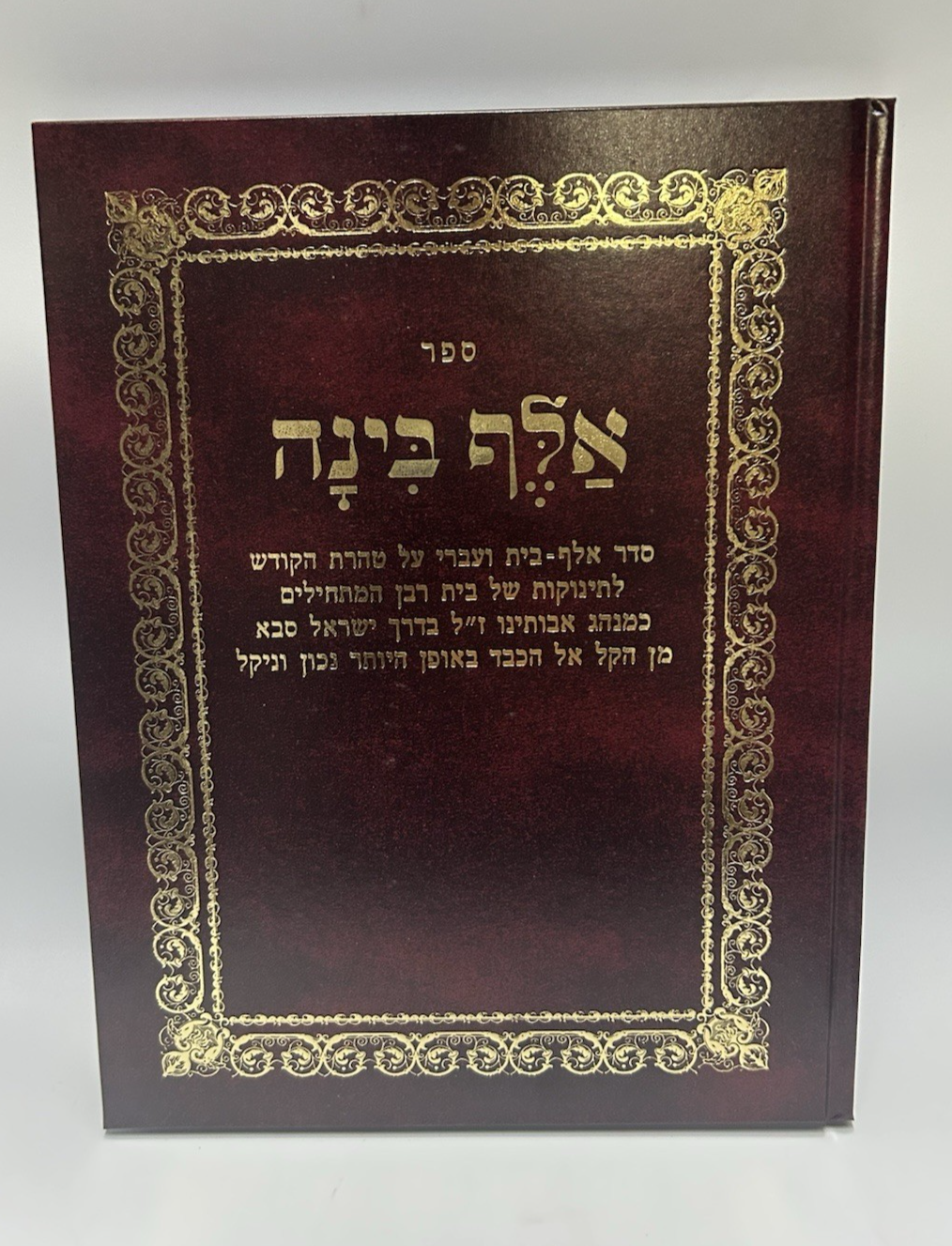 Sefer Alef Binah Large, Hebrew Alef Bais Kriah Primer for Children, NEW0