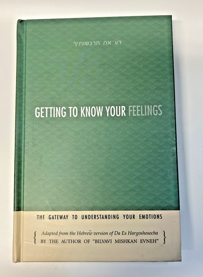 Getting To Know Your Feelings by Rabbi Itamar Schwartz , Bilvavi Books, Sefer - Avi's Judaica