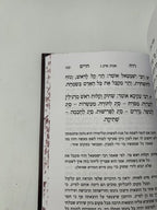 Ruach HaChaim on Maseches Avos, Rabbi Chaim of Volozhin, Hebrew, NEW